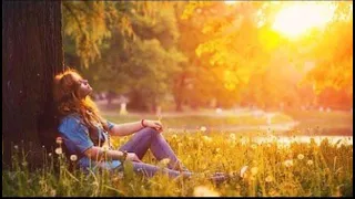 موسيقى وهدوء مؤثر نسمة حزن 