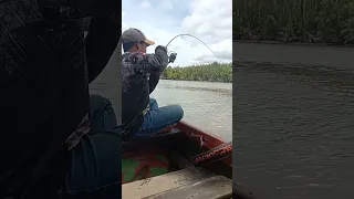 Ngeri Banget Joran Discovery 6-2lb Melengkung Tajam DiHajar Ikan Babon