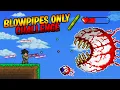 I Beat Terraria Using BLOWPIPES Only