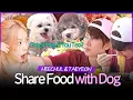 Download Lagu HEECHUL \u0026 TAEYEON's CHAOTIC Mukbang with Their Adorable Dogs 🤤🤤