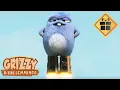 Download Lagu 🚅 Compilation Top : A toute allure 🐻🐹 Grizzy \u0026 les Lemmings / 15 min Cartoon