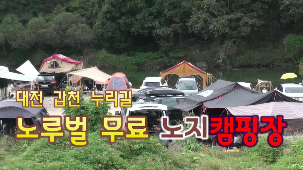 대전 노지 차박 무료캠핑장[갑천 노루벌 탐방] サムネイル