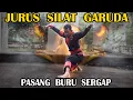 Jurus Silat Garuda - Gerak Beladiri Tradisional Modern PSGI Herri Pras