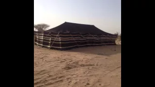 يا دار مريتك وانا مبطي عنك 