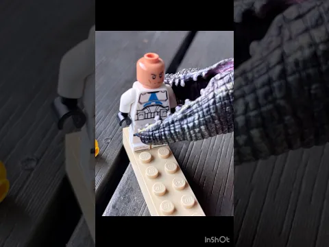 Crocodile attacks #crocodile