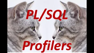 Finding Slow Use the Profilers