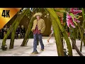 Chanel Haute Couture Fall Winter Paris