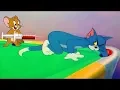 Download Lagu Tom and Jerry 2018 | Ball Tom | Cartoon For Kids