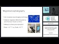 Using neural decoding to study object and action recognition in the human brain