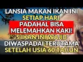 Download Lagu 5 Ikan yang Berbahaya Dikonsumsi Lansia setelah usia 60 tahun