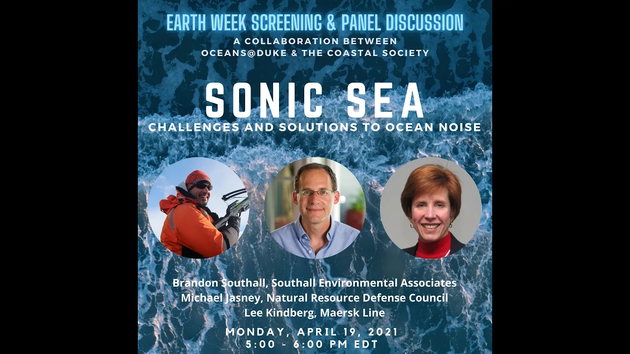 Sonic Sea: Challenges and Solutions to Ocean Noise