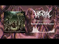 Download Lagu Viscral - Desolate Of Survival Replace