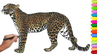 Leopard coloring page - Animal coloring