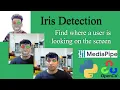 Part1 Iris tracking How to Accurately Detect Irises in the Eye An Easy Guide Mediapipe