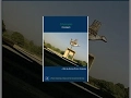 Download Lagu Paisagens Urbanas Chandigarh