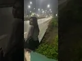 Heboh waria mangkal