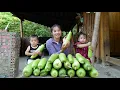 Download Lagu Harvesting giant gourds to sell at the market - cooking duck meat for little daughter to eat