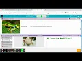 Code org Lesson 9 Level 5 Using Images
