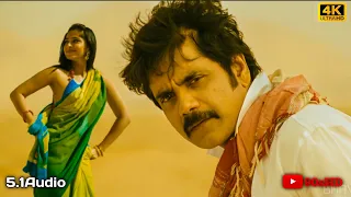 shirisha shirisha 4k video song ragada nagarjuna anushka priyamani thamanss veerupotla