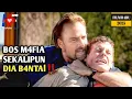 Download Lagu Meskipun Seorang Diri, Ia Mampu Meratakan M4fia !! Alur Cerita Film Action