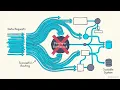 Architecting the Agentic Frontend The Generative UI Spectrum