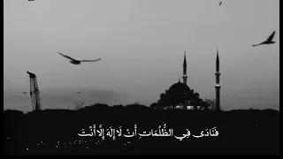   فنادى في الظلمات أن لا إله إلا أنت سبحانك إني كنت من الظالمين  دندنها