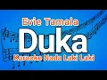 Download Lagu DUKA EVIE TAMALA - Nada Cowok | KARAOKE HD