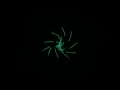 Oscilloscope Livecoding formel7 formel11 formel12 formel13 formel17 formel18 formel19