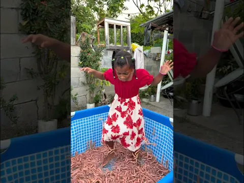 ¡NO creyó en la advertencia y mira lo que pasó! 😱🐛