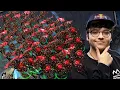 Download Lagu Reynor shows how Zerg is MEANT TO BE played vs MaxPax! StarCraft 2