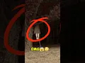 Download Lagu Scariest Thing Hidden in Normal Photos