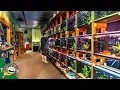 FISH STORE TOUR