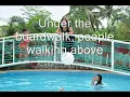 The Drifters - Under the Boardwalk (video lyrics)