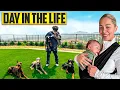 Our Day in the Life with 5 Dogs and a Newborn
