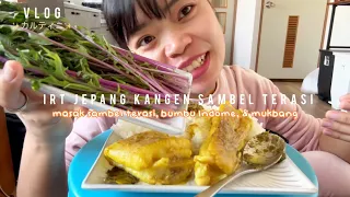 Download IRT JEPANG KANGEN SAMBEL TERASI 🥹 | Masak stock sambel \u0026 bumbu indome hack , Mukbang MP3