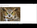 XHTML and CSS Tutorial 6 Images