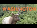 WHAT YOU NEED TO KNOW - 2022 Washington Application Strategy