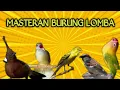 Download Lagu Masteran Burung Full Tembakan || Masteran Isian Untuk Burung Lomba