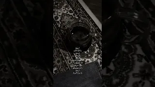 ارجع ياكل الحب 