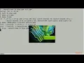 Learning CUDA 10 Programming The NVIDIA Visual Profiler packtpub com