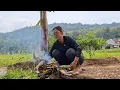 Download Lagu HIDUP DI DESA,, Makan Di Saung Sawah Sederhana Tapi Nikmat