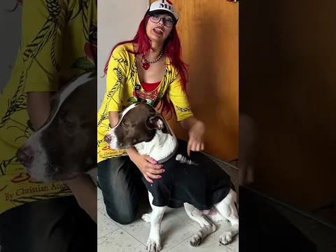 Transformando a mi perrito en un perro elegante 👔 #perros #mascotas #transformacion #antesydespues