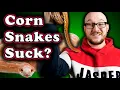 DO NOT GET A CORN SNAKE 3 Reasons Why and 3 Better Pet Snake Options