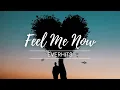 Download Lagu Feel Me Now - EverHits