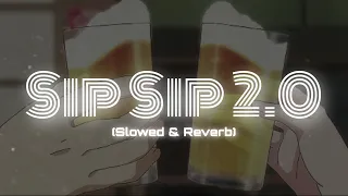 Sip Sip 2.0 (Slowed & Reverb) | Street Dancer 3d