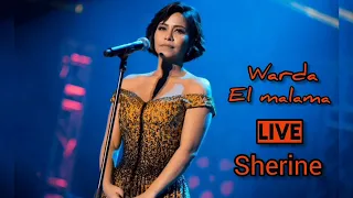 لولا الملامة  وردة  طرب مع شرين دندنها