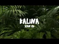 Sean Rii - Kalina (Visualizer)