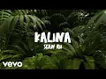 Download Lagu Sean Rii - Kalina (Visualizer)