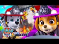 LIVE PAW Patrol To The Rescue Non-stop FULL Episodes
