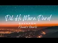 DIL HI MERA DARD HAI｜Bayhadh｜SLOWED \u0026 REVERB｜  Full OST ｜ Shani Arshad